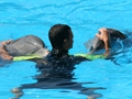 Delphin-Show im LORO-PARK auf Teneriffa
