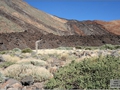 Teide Bildnr. 23