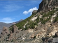 Teide Bildnr. 29